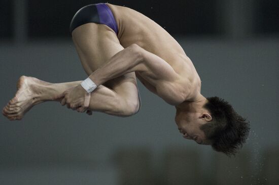 FINA/Midea Diving World Series 2013. Day three