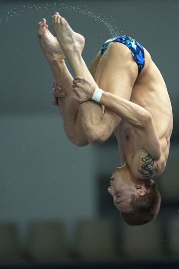 FINA/Midea Diving World Series 2013. Day three