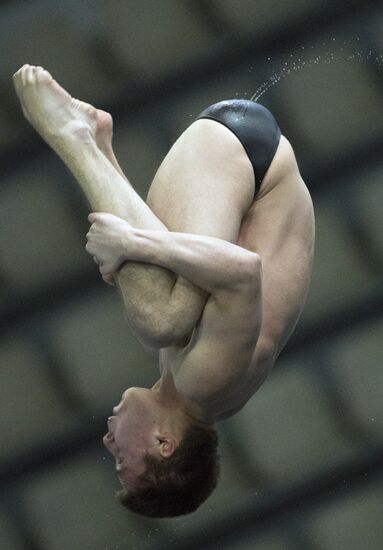 FINA/Midea Diving World Series 2013. Day three