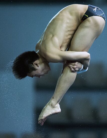 FINA/Midea Diving World Series 2013. Day three