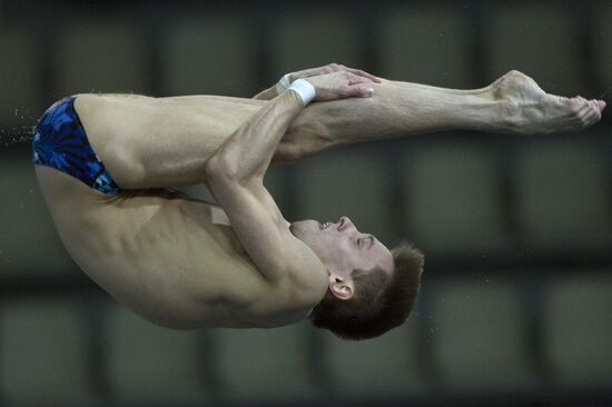 FINA/Midea Diving World Series 2013. Day three