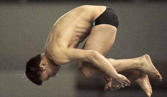 Diving FINA World Series. Day 3