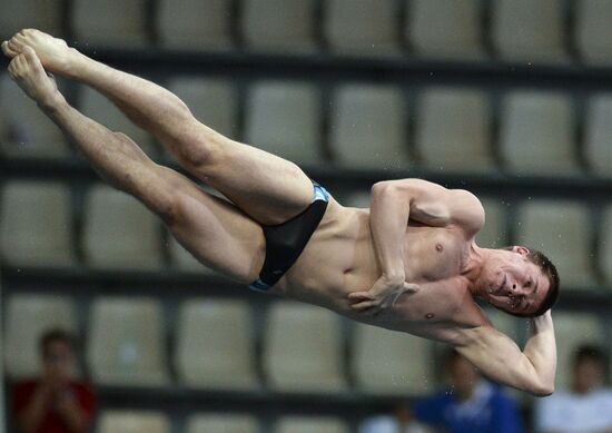 FINA/Midea Diving World Series 2013. Day three