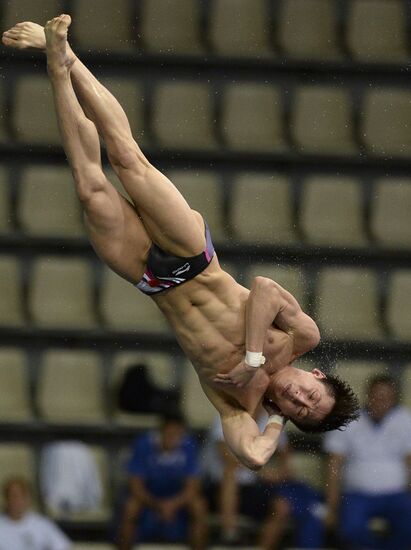 FINA/Midea Diving World Series 2013. Day three