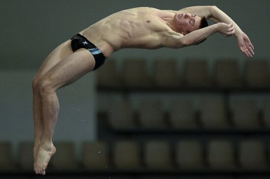 FINA/Midea Diving World Series 2013. Day three
