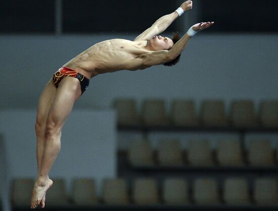 FINA/Midea Diving World Series 2013. Day three
