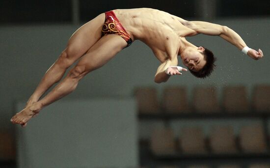 FINA/Midea Diving World Series 2013. Day three
