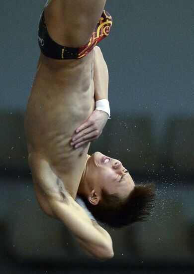 FINA/Midea Diving World Series 2013. Day three