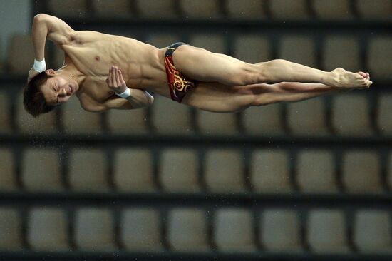 FINA/Midea Diving World Series 2013. Day three