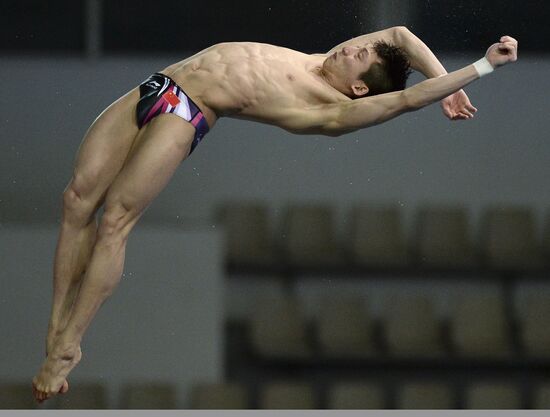 FINA/Midea Diving World Series 2013. Day three