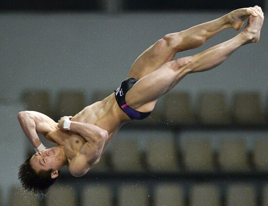 FINA/Midea Diving World Series 2013. Day three