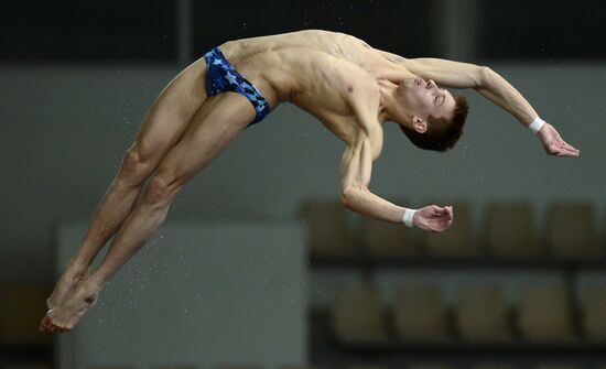 FINA/Midea Diving World Series 2013. Day three