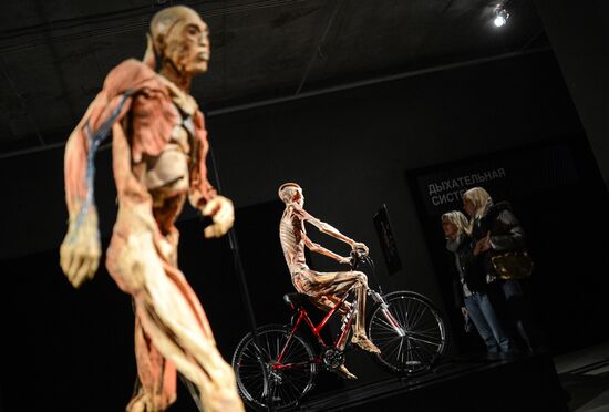 Exhibition "Secrets of the Body. The Universe Inside" in Moscow