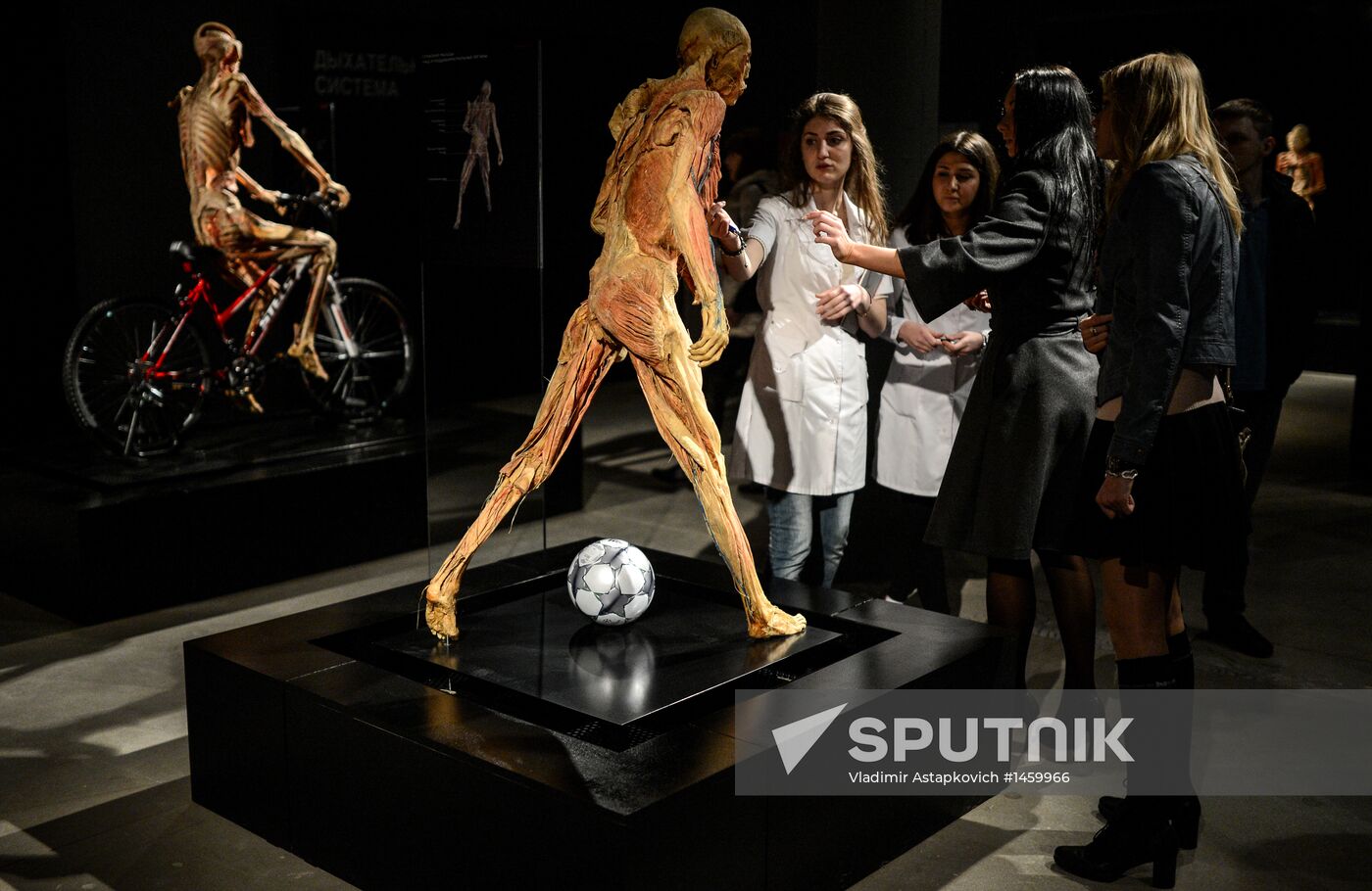 Exhibition "Secrets of the Body. The Universe Inside" in Moscow