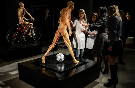 Exhibition "Secrets of the Body. The Universe Inside" in Moscow