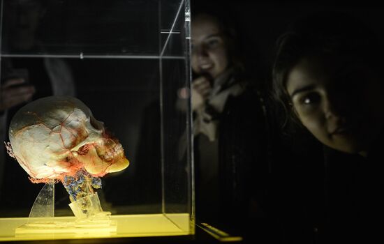 Exhibition "Secrets of the Body. The Universe Inside" in Moscow