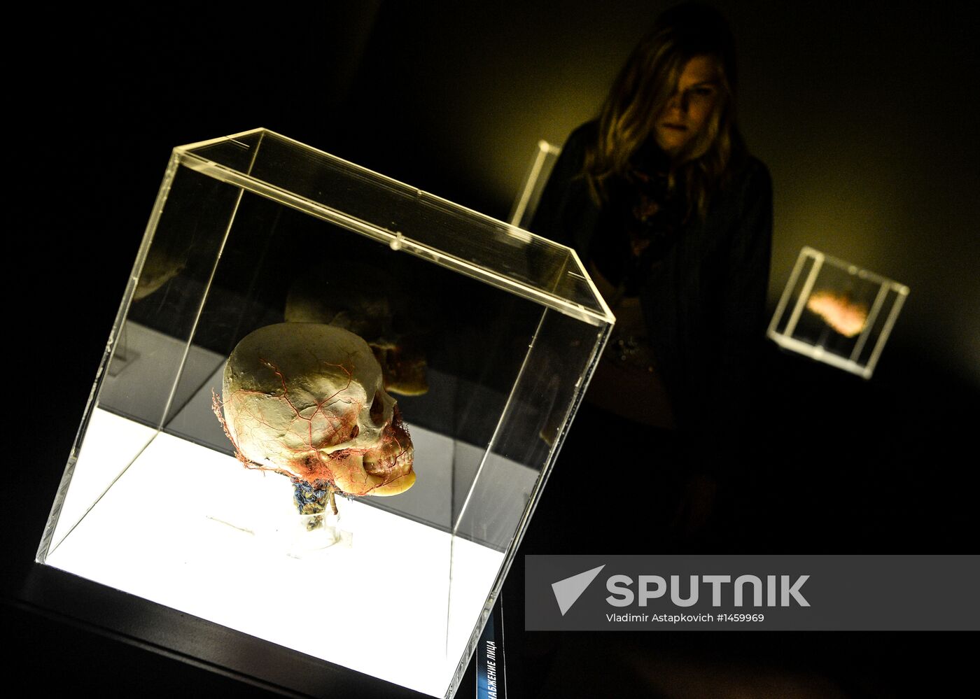Exhibition "Secrets of the Body. The Universe Inside" in Moscow