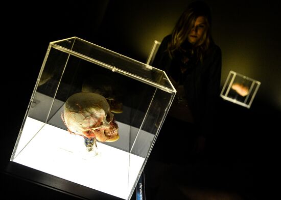 Exhibition "Secrets of the Body. The Universe Inside" in Moscow