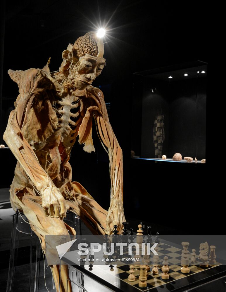 Exhibition "Secrets of the Body. The Universe Inside" in Moscow