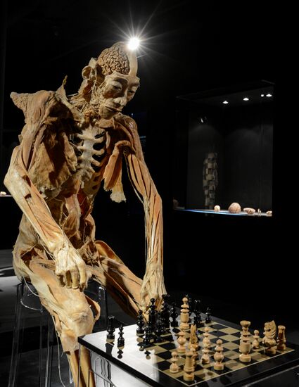 Exhibition "Secrets of the Body. The Universe Inside" in Moscow