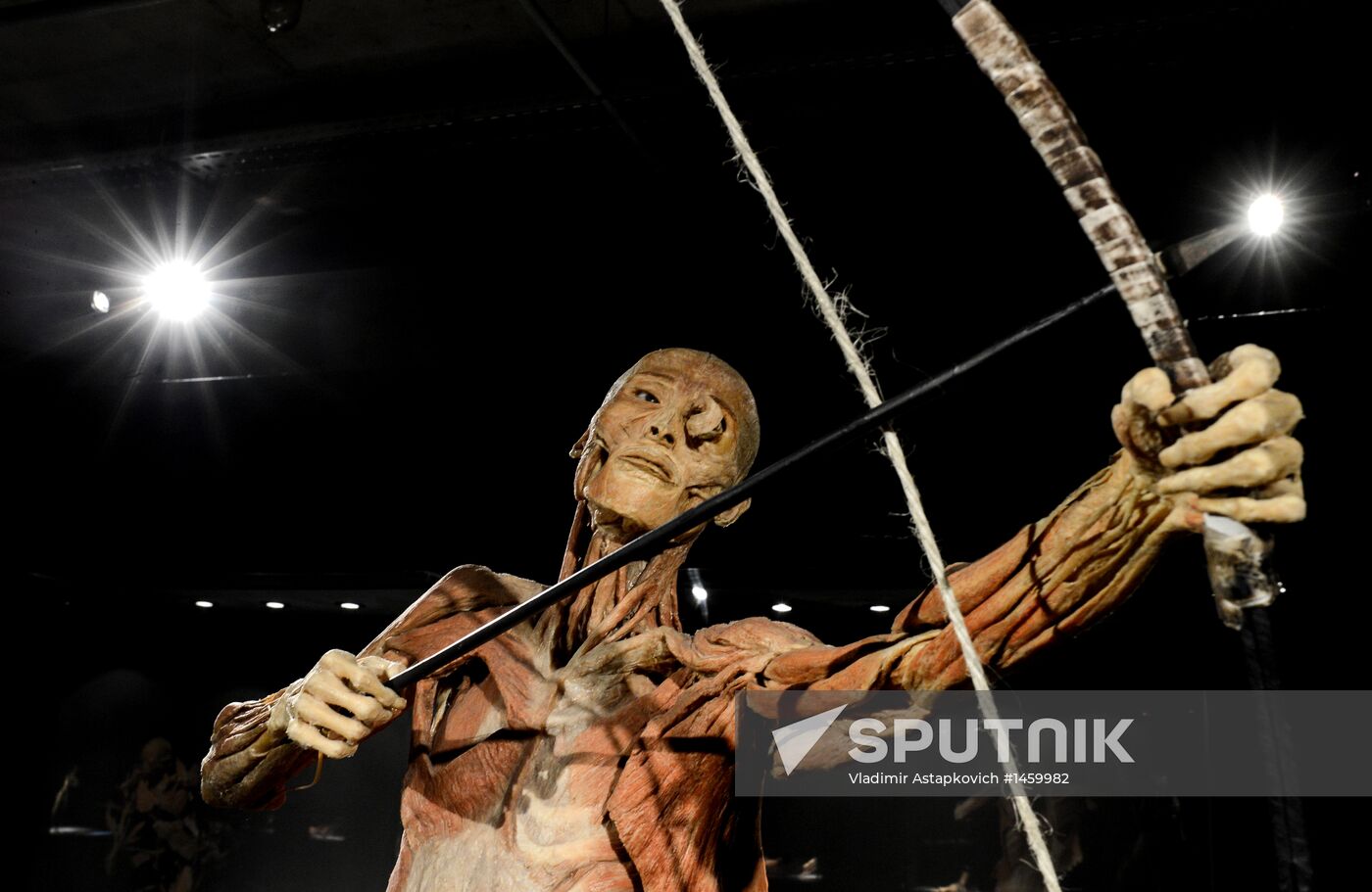 Exhibition "Secrets of the Body. The Universe Inside" in Moscow
