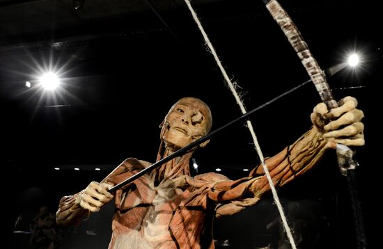 Exhibition "Secrets of the Body. The Universe Inside" in Moscow