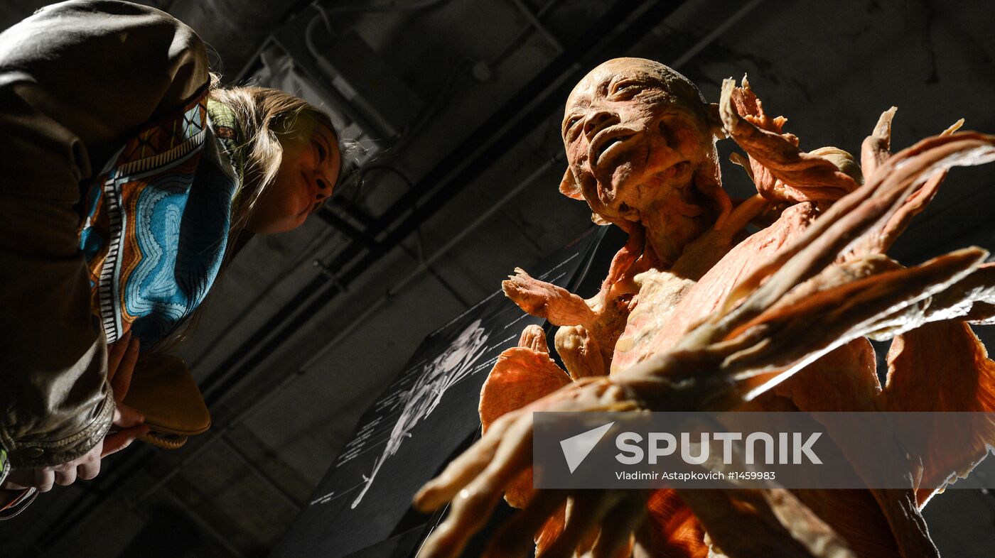 Exhibition "Secrets of the Body. The Universe Inside" in Moscow