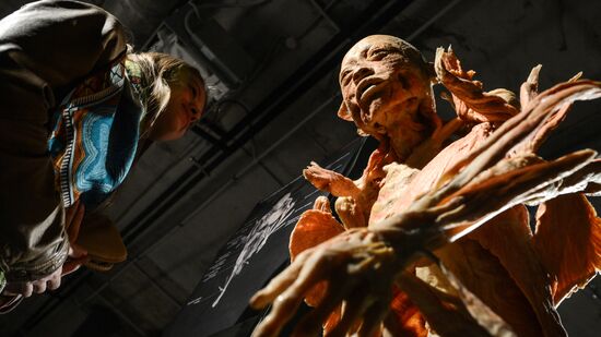 Exhibition "Secrets of the Body. The Universe Inside" in Moscow