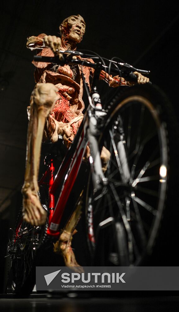 Exhibition "Secrets of the Body. The Universe Inside" in Moscow