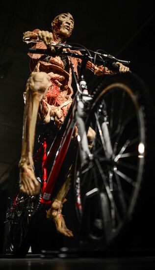 Exhibition "Secrets of the Body. The Universe Inside" in Moscow