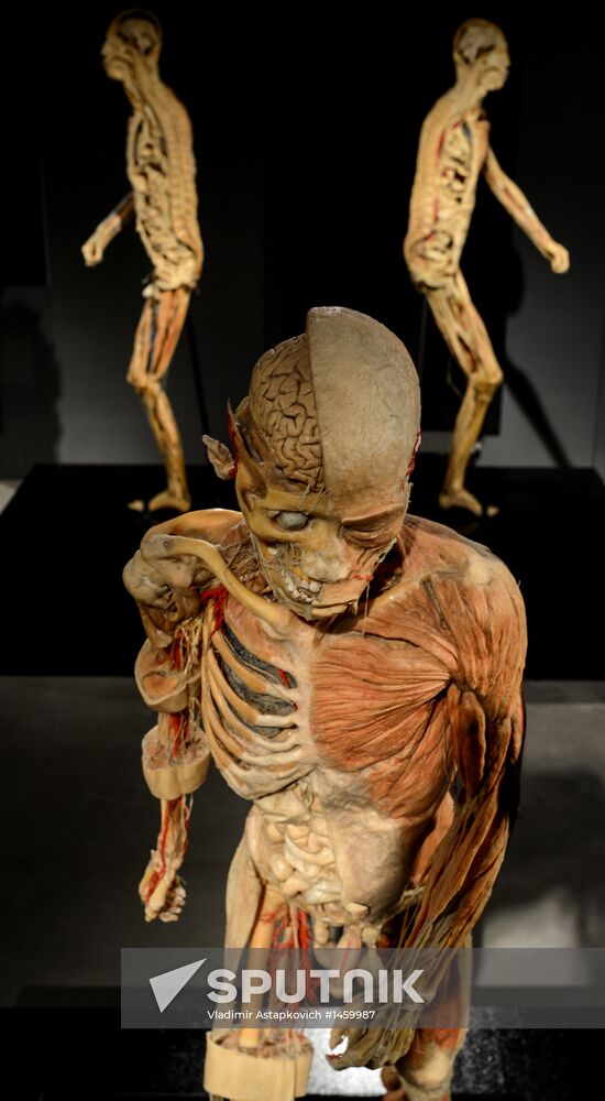 Exhibition "Secrets of the Body. The Universe Inside" in Moscow