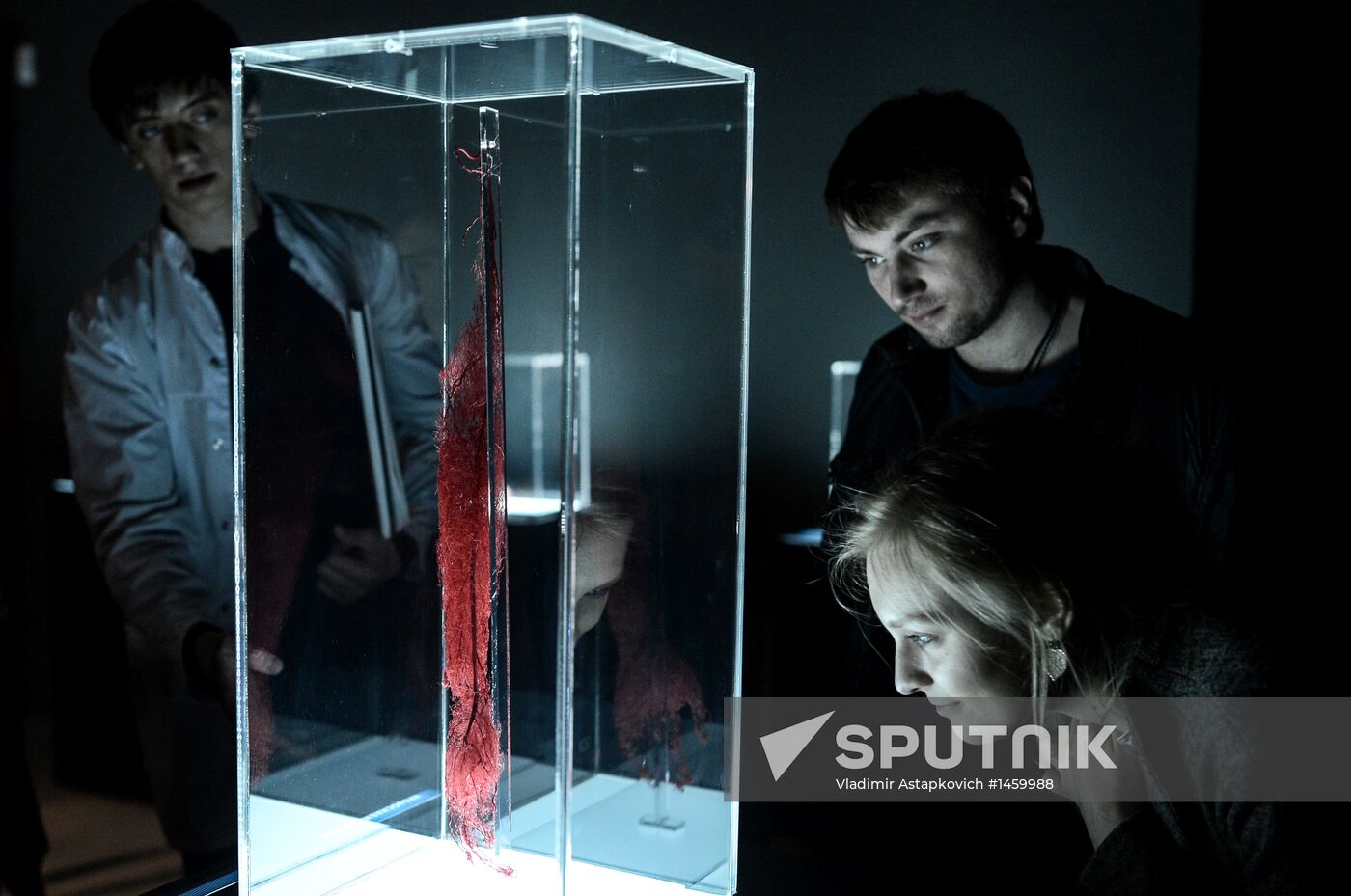 Exhibition "Secrets of the Body. The Universe Inside" in Moscow
