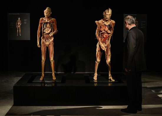 Exhibition "Secrets of the Body. The Universe Inside" in Moscow