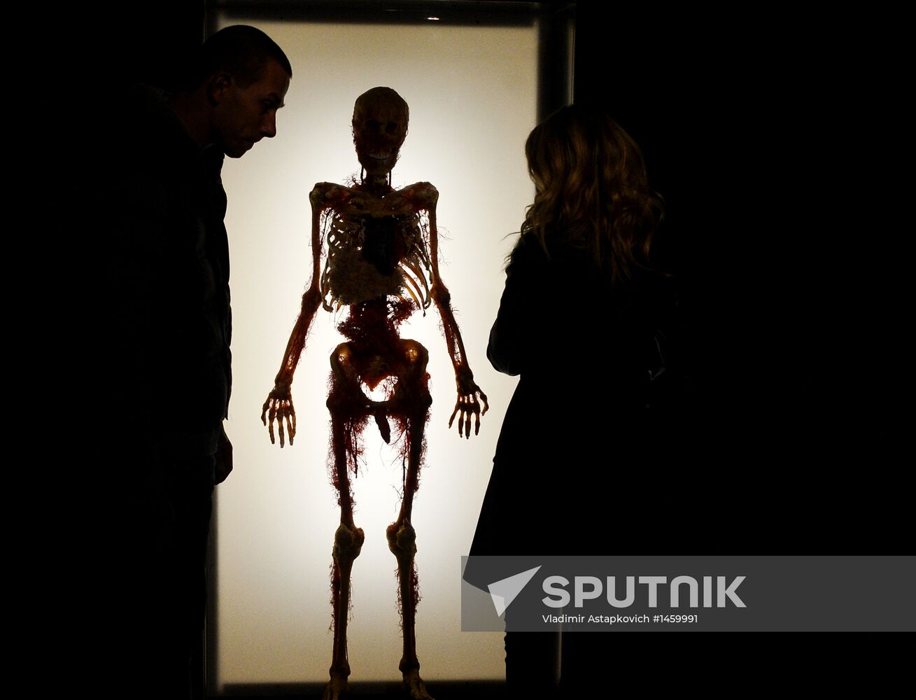 Exhibition "Secrets of the Body. The Universe Inside" in Moscow