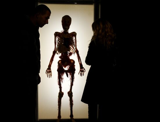 Exhibition "Secrets of the Body. The Universe Inside" in Moscow