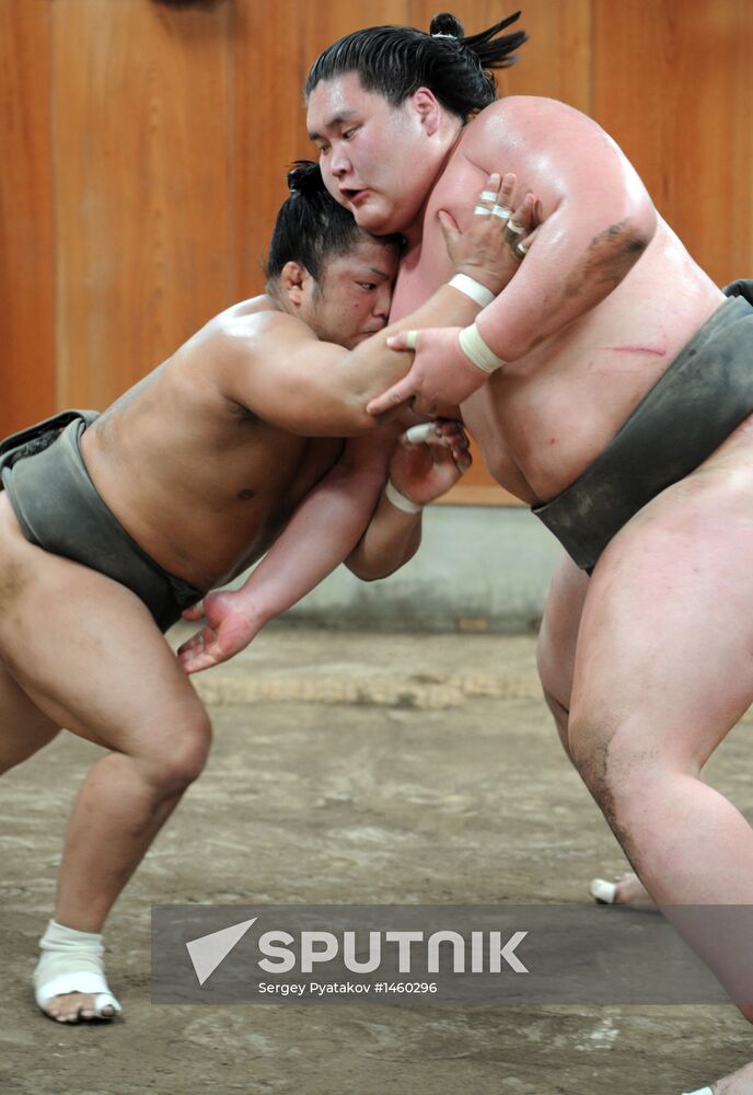 Training of Japanese sumo wrestlers