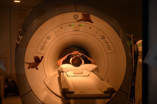 Dmitry Rogachev Paediatric Oncology Center, Moscow