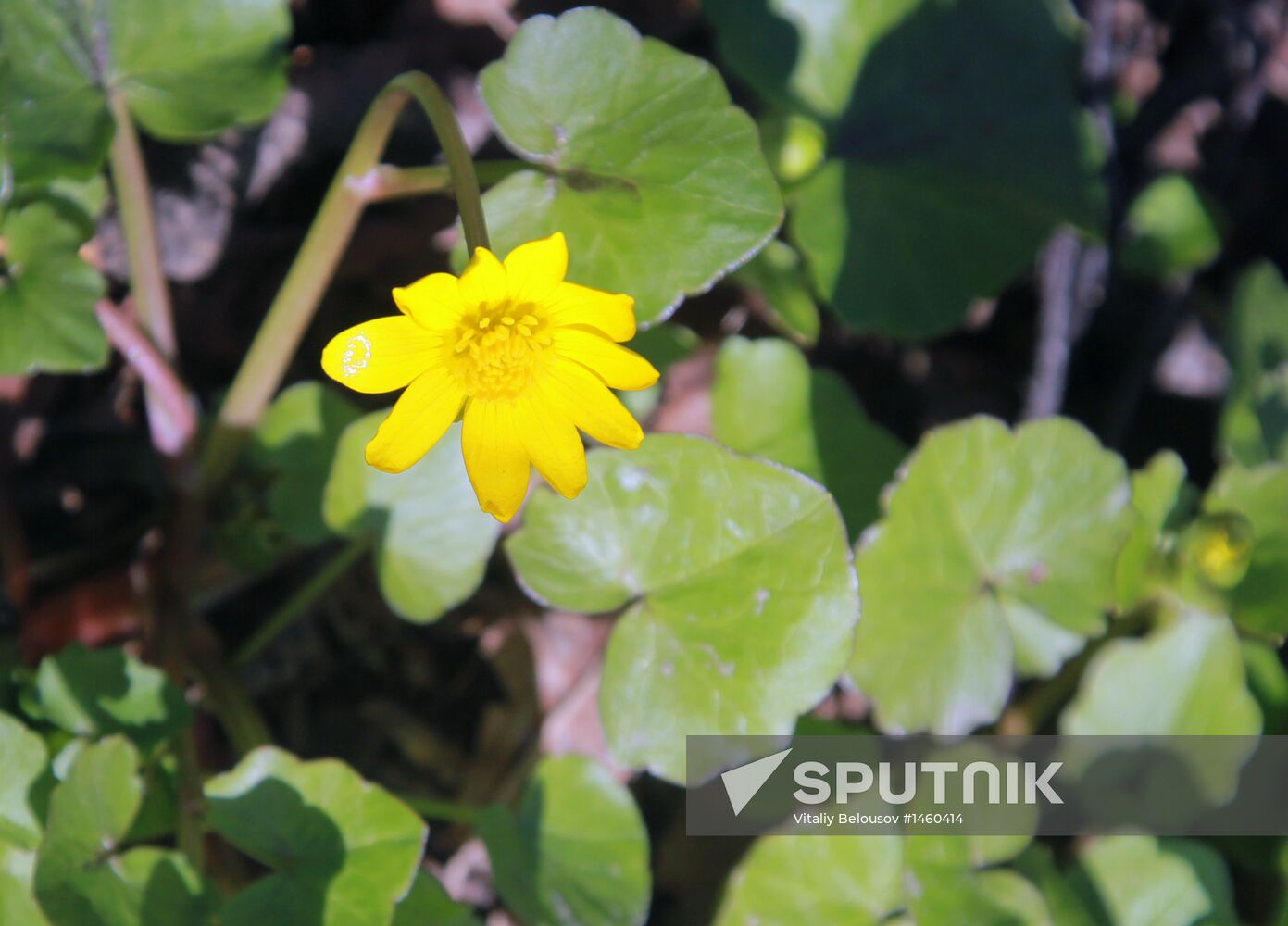 Long-awaited spring finally arrives in Moscow