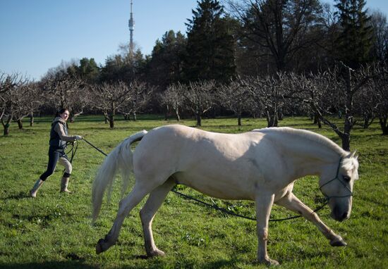 Long-awaited spring finally arrives in Moscow