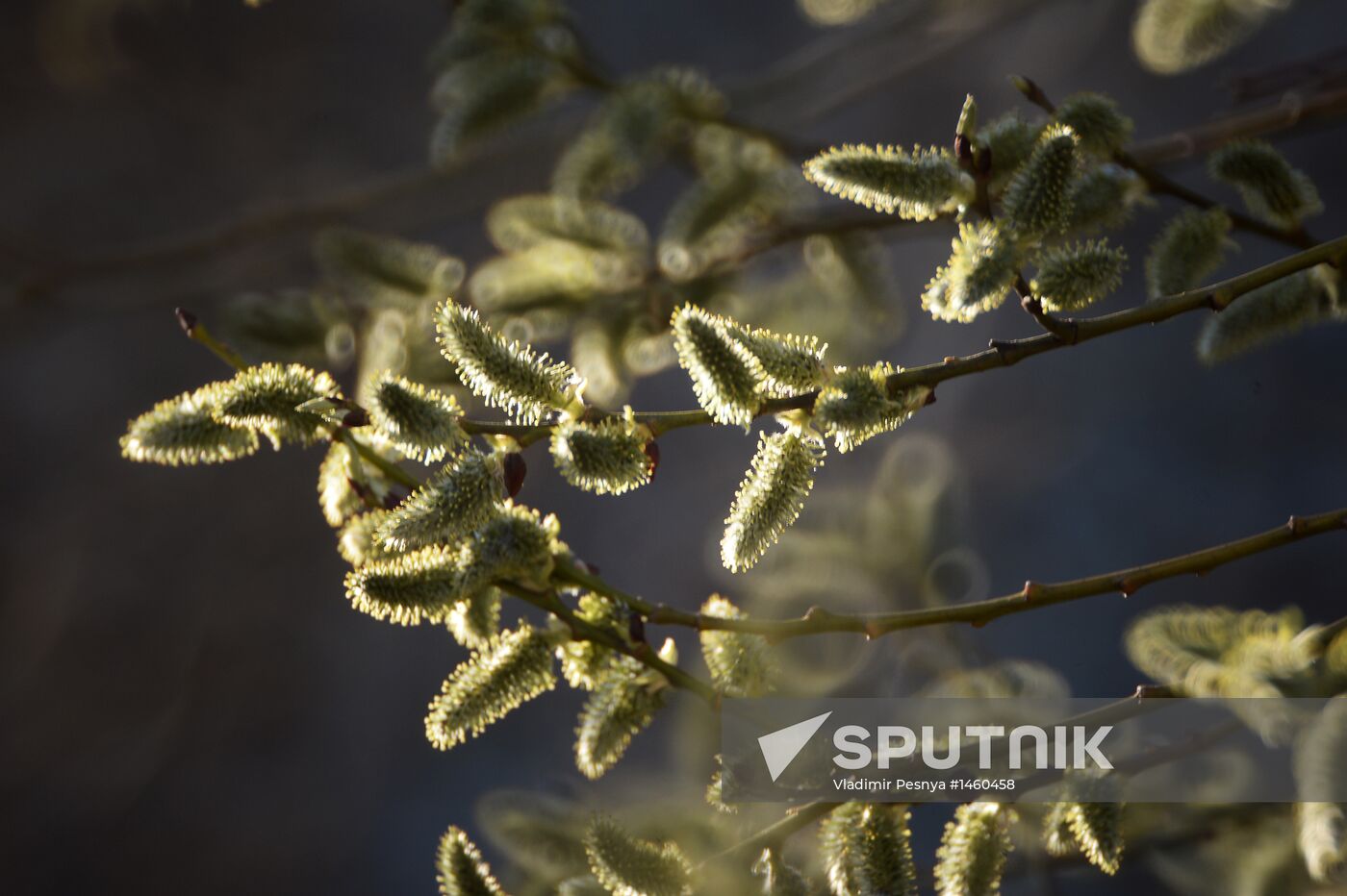 Long-awaited spring finally arrives in Moscow