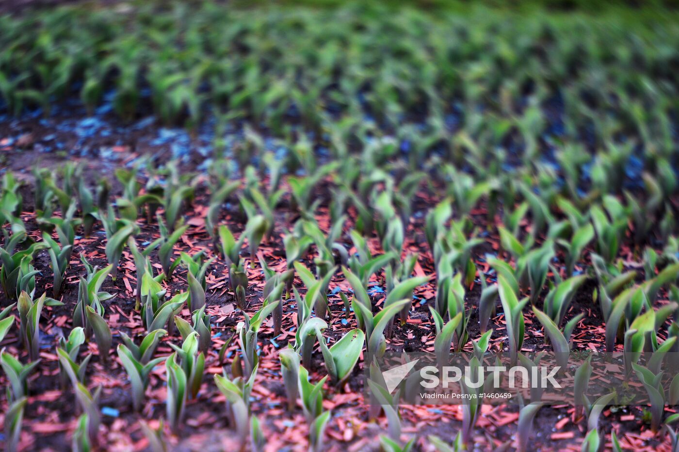 Long-awaited spring finally arrives in Moscow