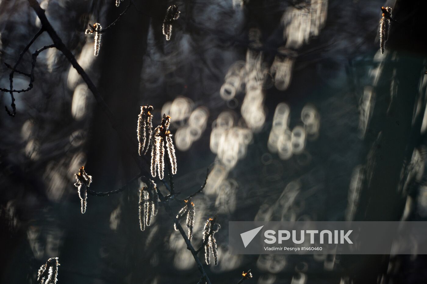 Long-awaited spring finally arrives in Moscow