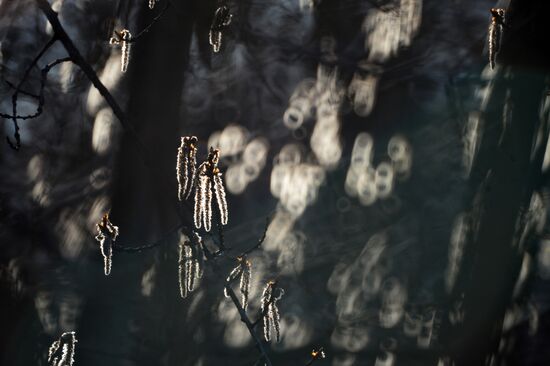 Long-awaited spring finally arrives in Moscow
