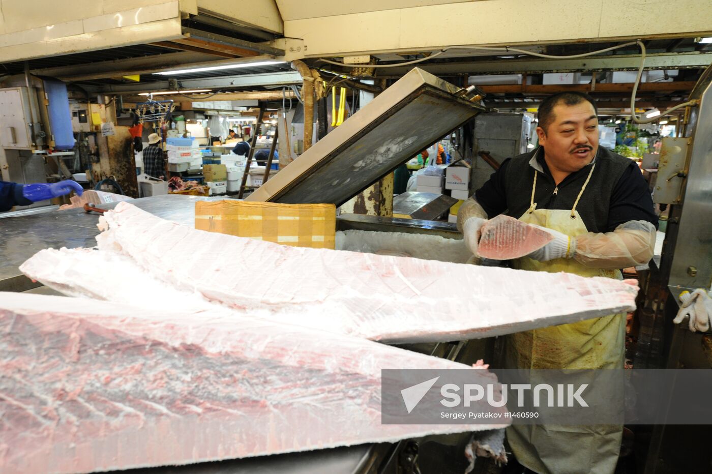 Tsukiji seafood market in Tokyo