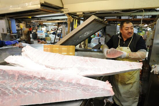 Tsukiji seafood market in Tokyo
