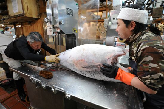 Tsukiji seafood market in Tokyo