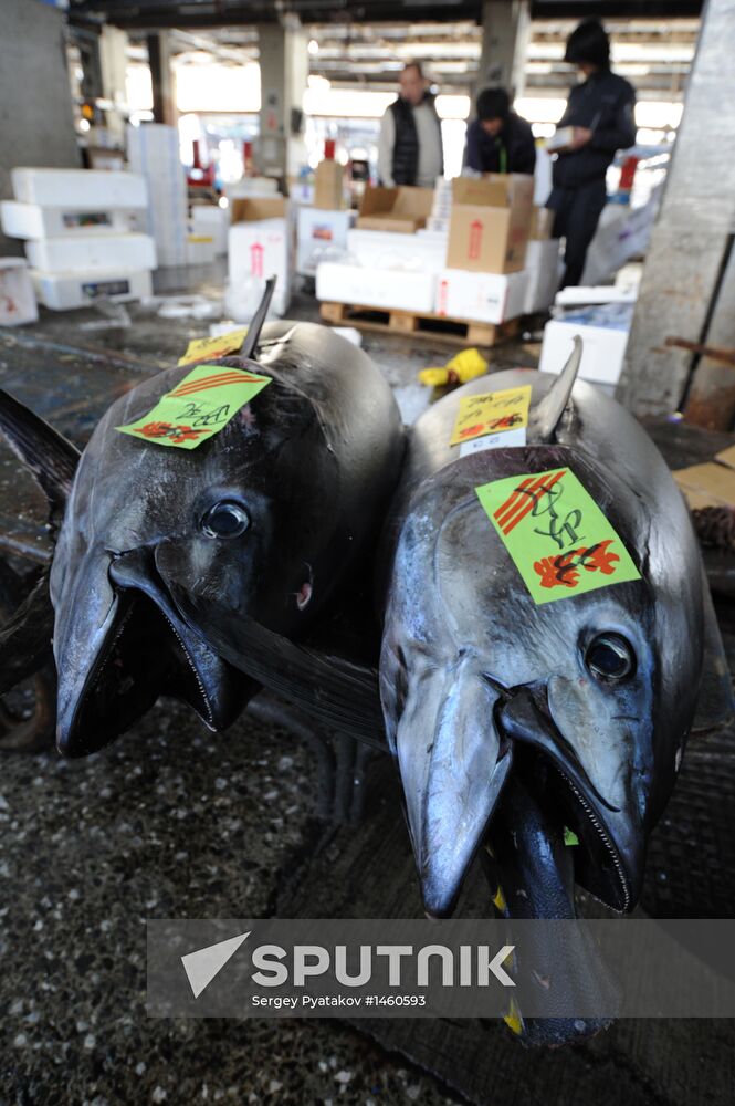 Tsukiji seafood market in Tokyo