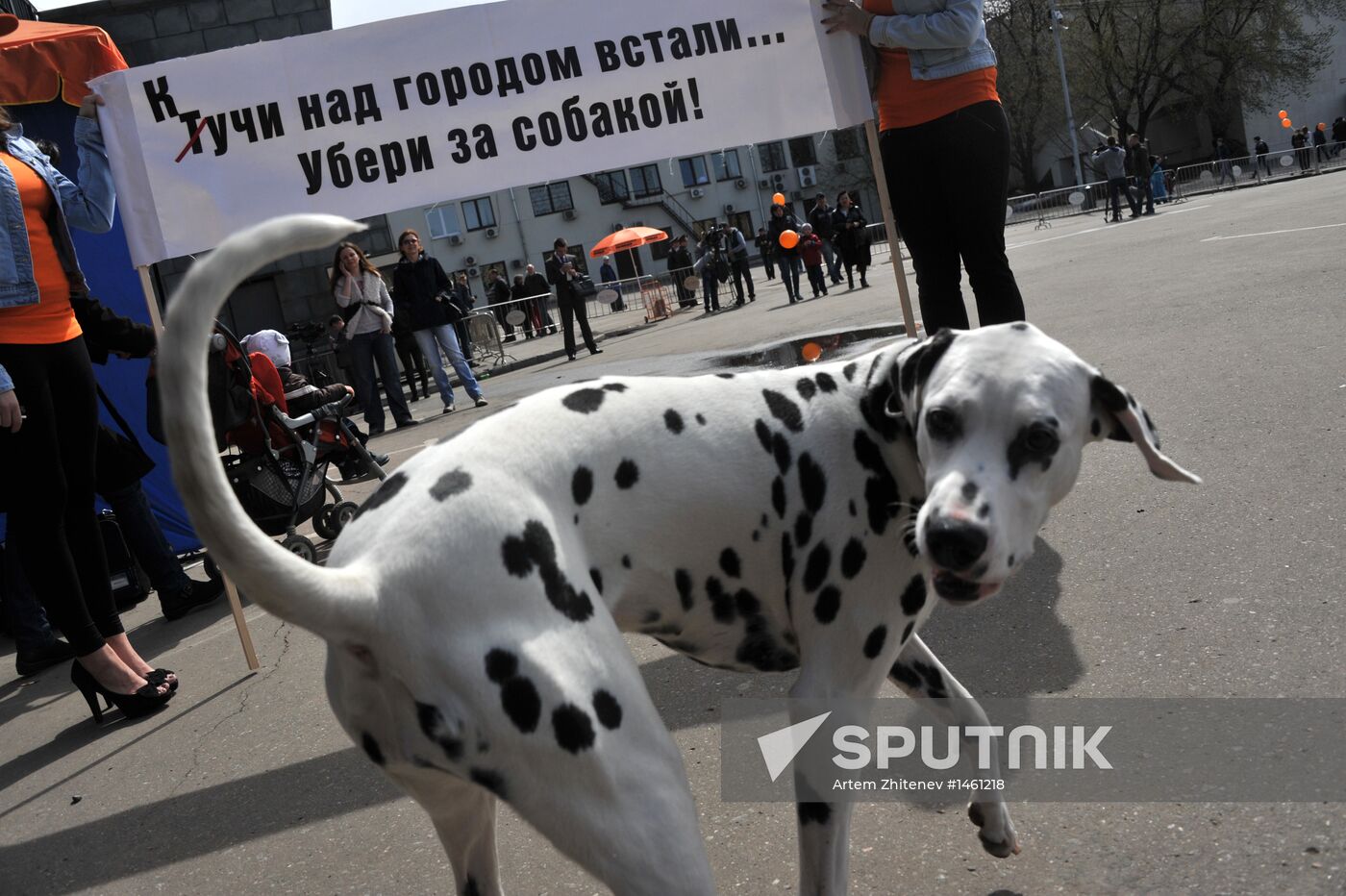 Moscow's “Hyde Parks” open up