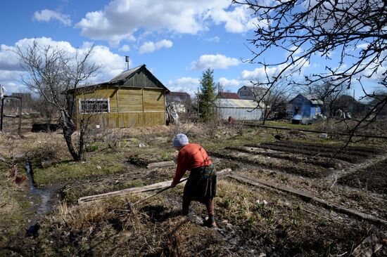 Dacha season kicks off in Novgorod Region