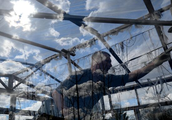 Dacha season kicks off in Novgorod Region